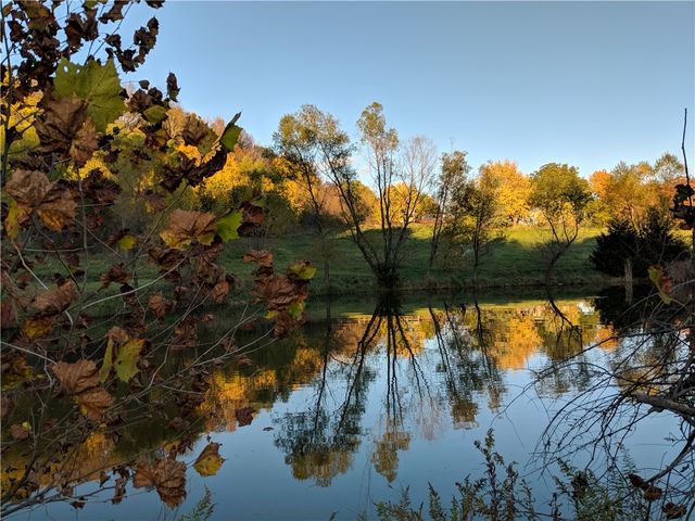 19271 Vineyard Road, Canehill, AR 72717