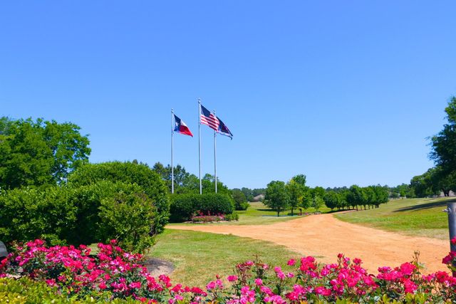 133 Waterford Way, Montgomery, TX 77356