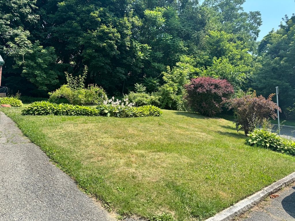 64 Goodrich St, Springfield, MA 01104