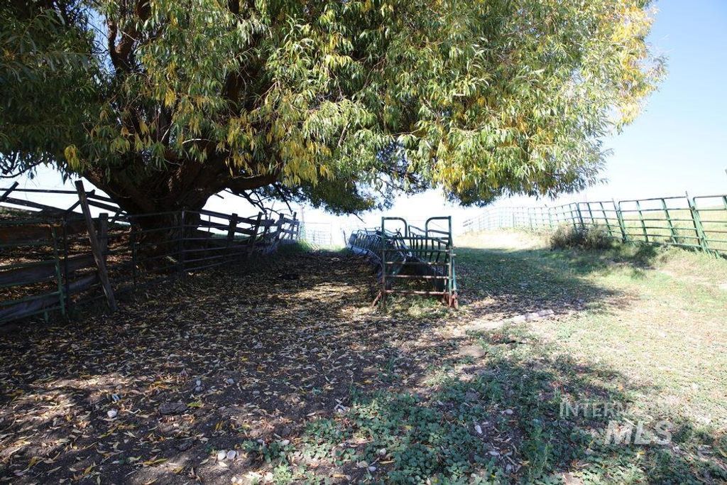 408 Gold Fork Rd (250 Acres), Donnelly, ID 83615 photo 20