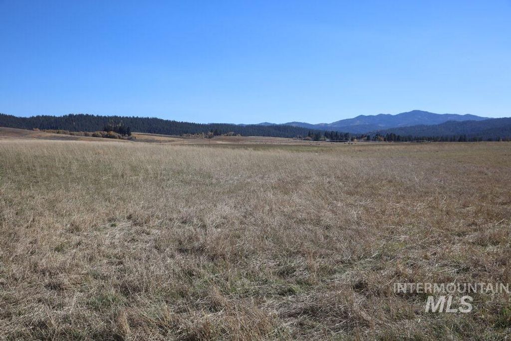 408 Gold Fork Rd (250 Acres), Donnelly, ID 83615 photo 5