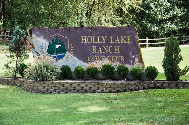 108 Old Barn Circle, Holly Lake Ranch, TX 75765