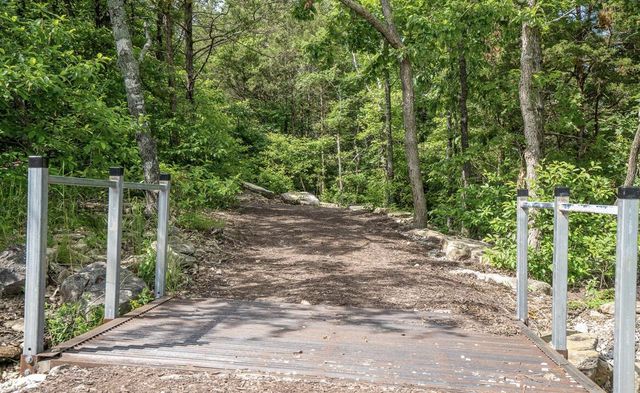 7 Treehouse Lane 2, Branson, MO 65616