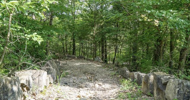 7 Treehouse Lane 2, Branson, MO 65616