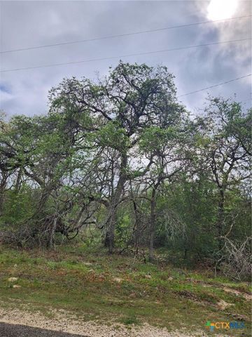 1247 Vivroux Ranch Road, Seguin, TX 78155