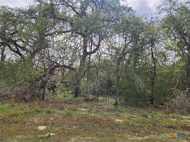 1247 Vivroux Ranch Road, Seguin, TX 78155