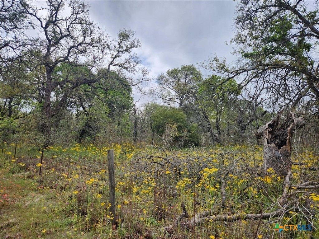 1247 Vivroux Ranch Road, Seguin, TX 78155