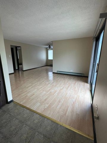 5160 Thomas Drive 3E, Richton Park, IL 60471