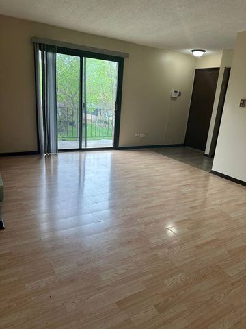 5160 Thomas Drive 3E, Richton Park, IL 60471