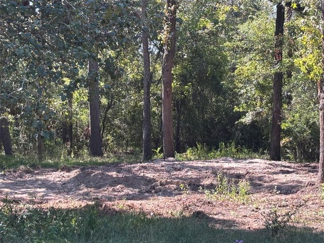 1314 Hamblen Road, Houston, TX 77339