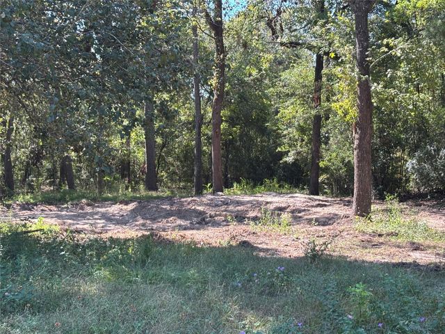 1314 Hamblen Road, Houston, TX 77339