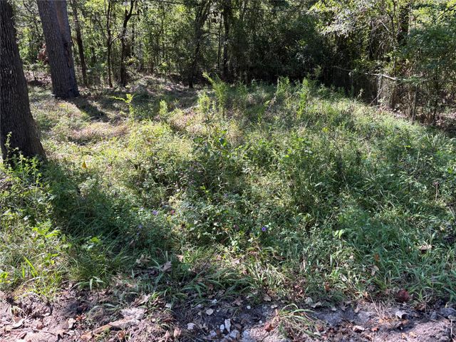 1314 Hamblen Road, Houston, TX 77339