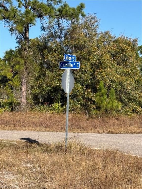 385 LILLON AVE S, LEHIGH ACRES, FL 33974 — photo 2