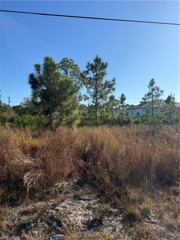 385 LILLON AVE S, LEHIGH ACRES, FL 33974 — photo 4