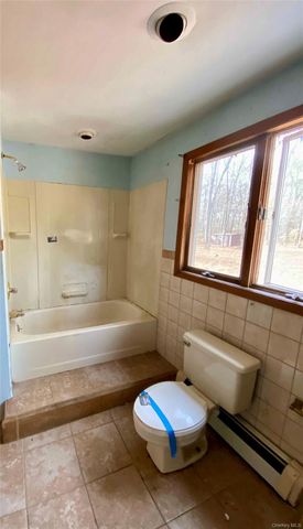 26 N Swezeytown Road, Middle Island, NY 11953