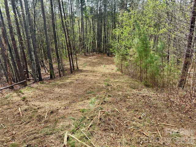 Lot 488 Bella Vista Way 488, Nebo, NC 28761