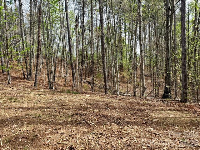Lot 488 Bella Vista Way 488, Nebo, NC 28761