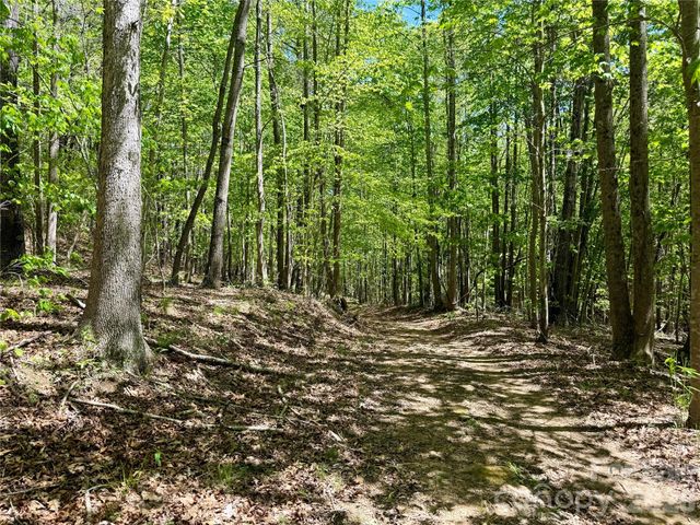 Lot 488 Bella Vista Way 488, Nebo, NC 28761