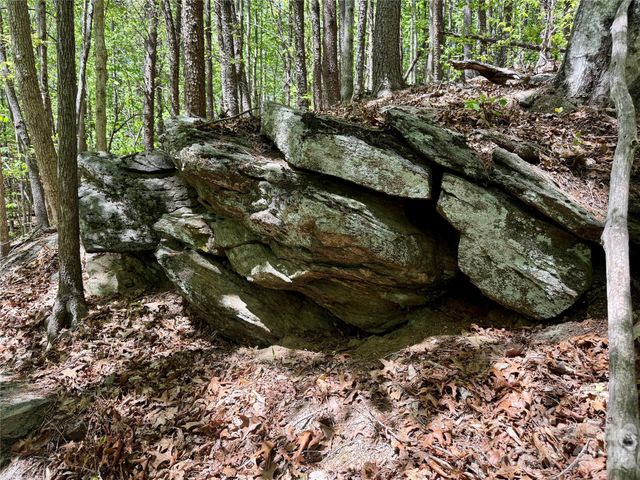 Lot 488 Bella Vista Way 488, Nebo, NC 28761