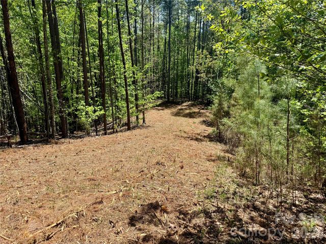 Lot 488 Bella Vista Way 488, Nebo, NC 28761