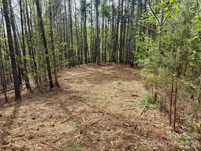 Lot 488 Bella Vista Way 488, Nebo, NC 28761