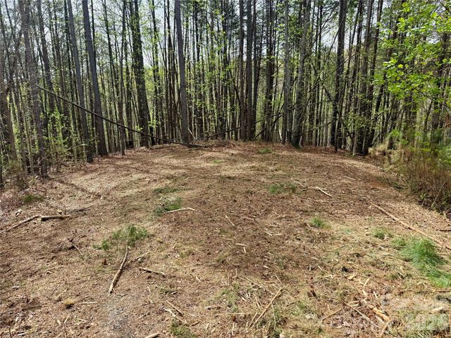 Lot 488 Bella Vista Way 488, Nebo, NC 28761