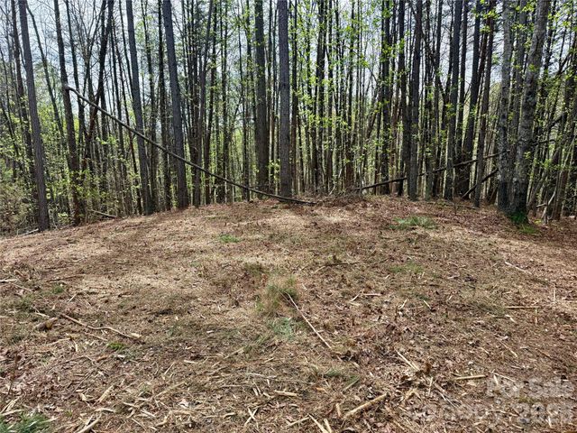 Lot 488 Bella Vista Way 488, Nebo, NC 28761