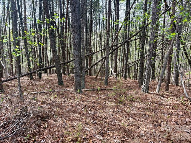 Lot 488 Bella Vista Way 488, Nebo, NC 28761