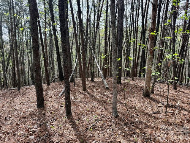 Lot 488 Bella Vista Way 488, Nebo, NC 28761