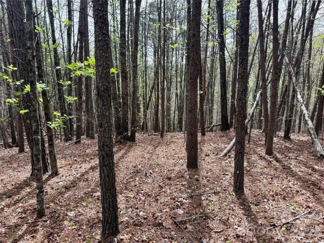 Lot 488 Bella Vista Way 488, Nebo, NC 28761