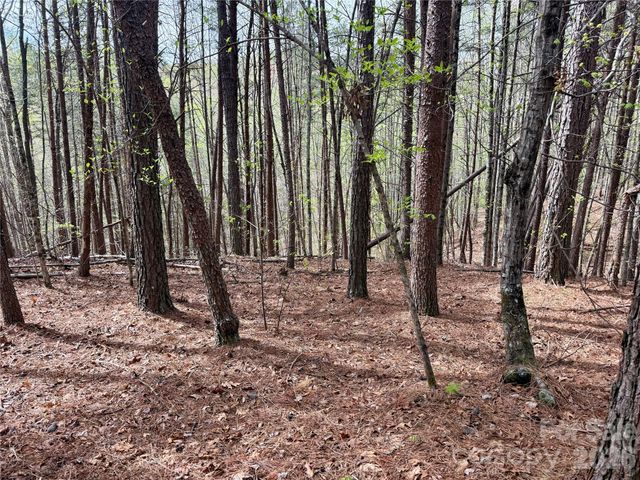 Lot 488 Bella Vista Way 488, Nebo, NC 28761
