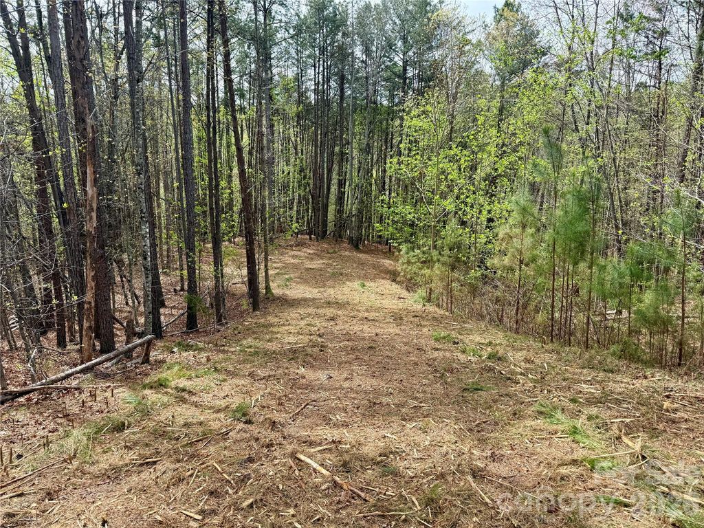 Lot 488 Bella Vista Way 488, Nebo, NC 28761