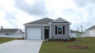 641 Strawberry Field Way, Galivants Ferry, SC 29544