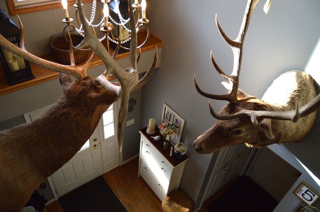 11272 Robin Meadows Meadows, Freeland, MI 48623