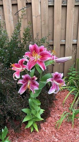 611 E Court Street, Janesville, WI 53545