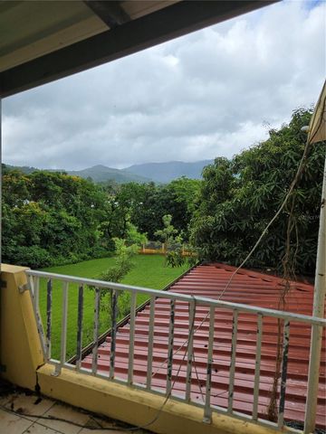 967 RAMAL JIMENEZ WARD KM 0.7 INT, Rio Grande, PR 00745