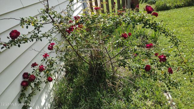 10035 Avenue D, Bay Saint Louis, MS 39520
