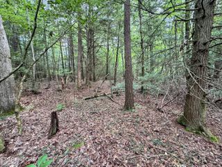 Banner Springs Rd, Jamestown, TN 38556