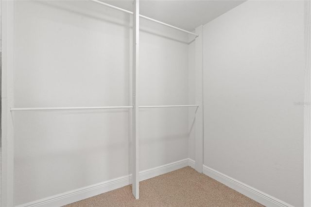 14114 BARDSDALE LANE, Tampa, FL 33625