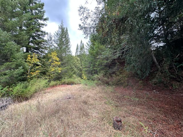 142 Fish Canyon Road, Benbow, CA 95542