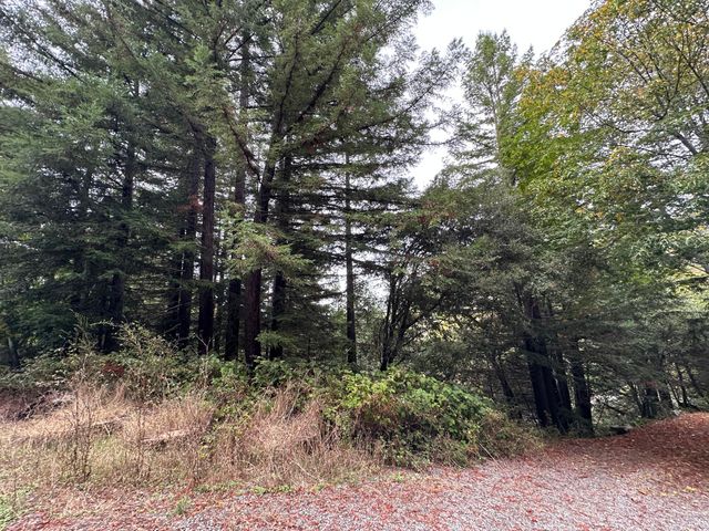 142 Fish Canyon Road, Benbow, CA 95542