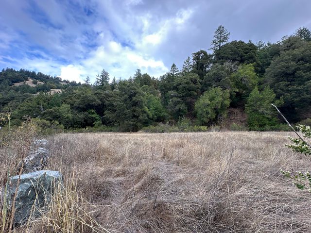 142 Fish Canyon Road, Benbow, CA 95542