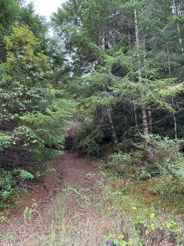 142 Fish Canyon Road, Benbow, CA 95542