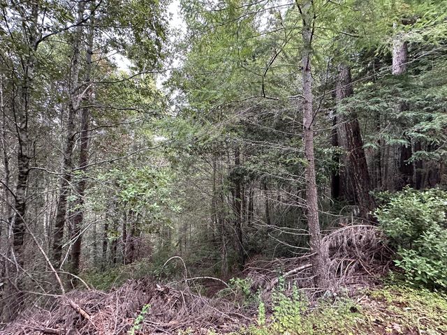 142 Fish Canyon Road, Benbow, CA 95542