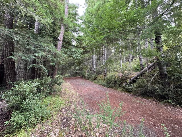 142 Fish Canyon Road, Benbow, CA 95542