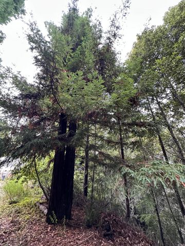 142 Fish Canyon Road, Benbow, CA 95542