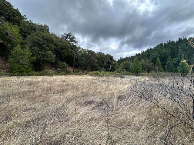 142 Fish Canyon Road, Benbow, CA 95542