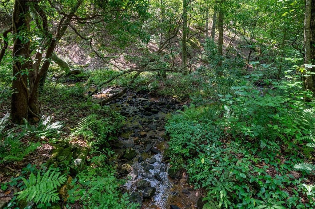 Image 65 of property listing at 464 Poole Road, Ball Ground, GA 30107