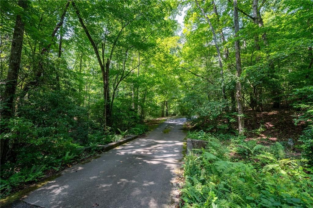 Image 66 of property listing at 464 Poole Road, Ball Ground, GA 30107