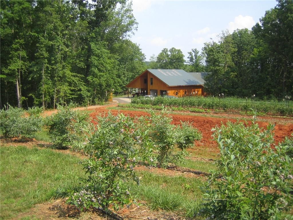 Image 70 of property listing at 464 Poole Road, Ball Ground, GA 30107